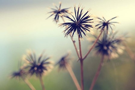 Yesterday by Incredi art print