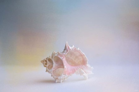 Beach Memories 3 by Jai Johnson art print