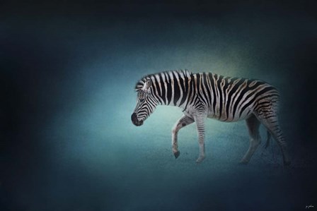Zebra In The Moonlight by Jai Johnson art print
