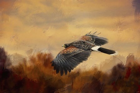 Harris Hawk In Autumn by Jai Johnson art print
