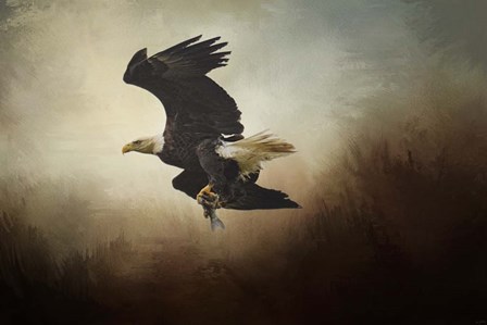 Fish Tail by Jai Johnson art print