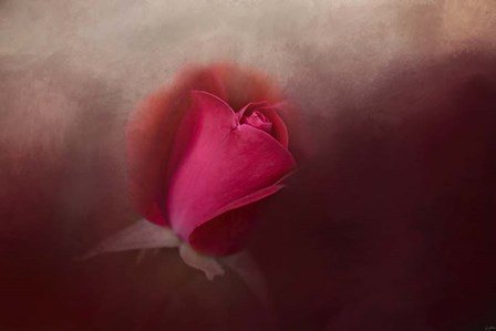 The First Red Rose by Jai Johnson art print