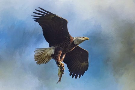 The Raptors Catch by Jai Johnson art print