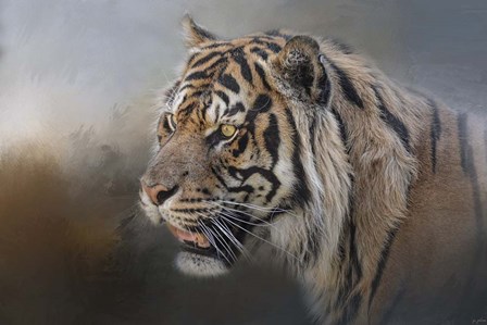 Alert Bengal by Jai Johnson art print