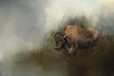 Bison After The Mud Bath by Jai Johnson art print