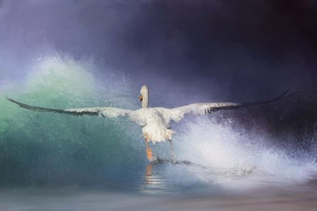 Head On by Jai Johnson art print