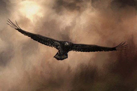 Juvenile Bald Eagle In The Sepia Sky by Jai Johnson art print