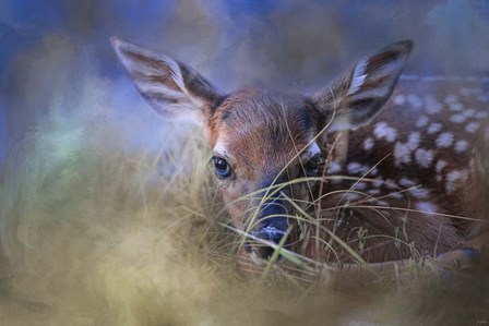 The First Fawn by Jai Johnson art print