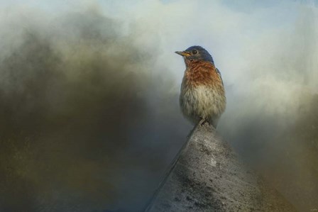 The Highest Point by Jai Johnson art print