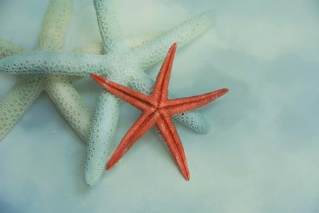 Ocean Treasures by Jai Johnson art print