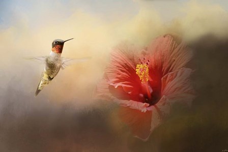 Romancing The Hibiscus by Jai Johnson art print
