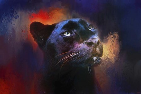 Colorful Expressions Black Leopard by Jai Johnson art print