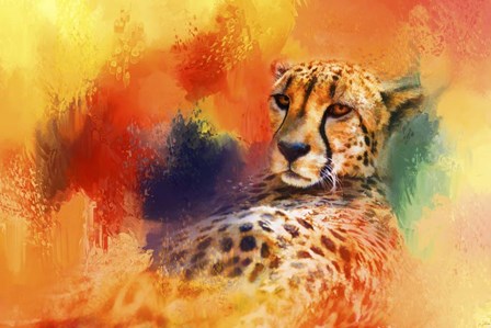 Colorful Expressions Cheetah by Jai Johnson art print