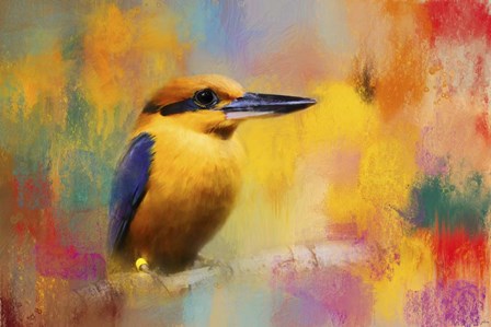 Colorful Expressions King Fisher by Jai Johnson art print