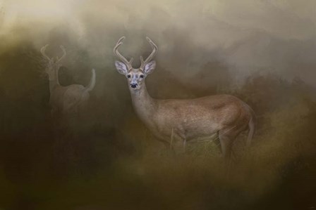Bucks In August by Jai Johnson art print