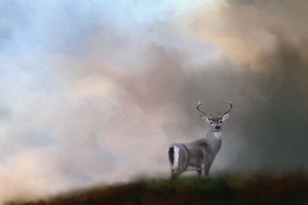 Buck On The Hill by Jai Johnson art print