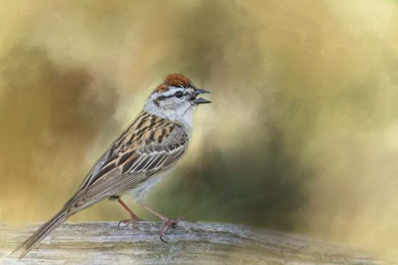 Final Summer Song by Jai Johnson art print