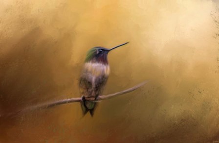 Hummingbird in Autumn by Jai Johnson art print