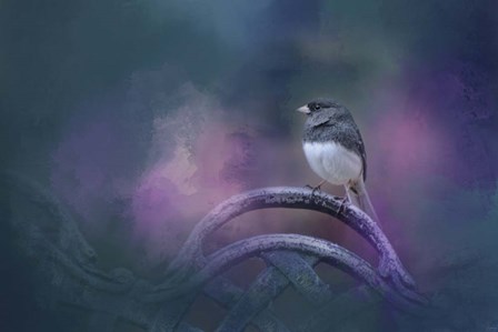 Bench Break by Jai Johnson art print