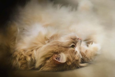 Upside Down by Jai Johnson art print