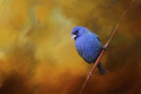 Blue Bunting In Autumn by Jai Johnson art print