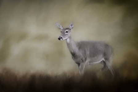 Bravery by Jai Johnson art print