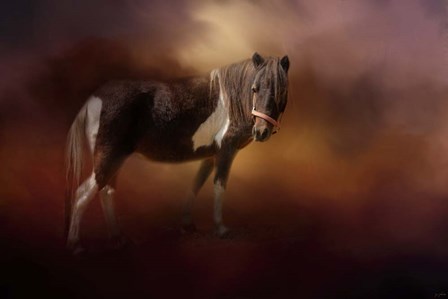 Chickasaw Pony In Autumn by Jai Johnson art print