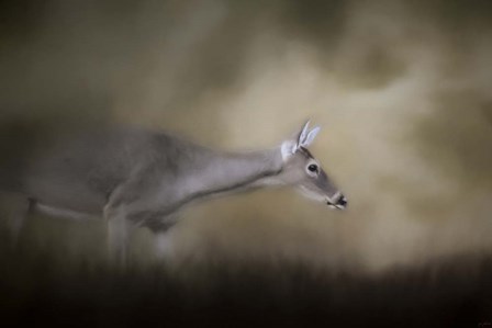 Hesitation by Jai Johnson art print