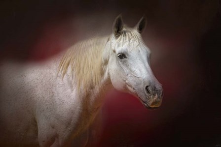 I Am The Light by Jai Johnson art print