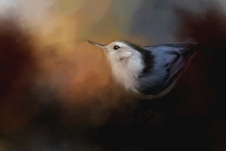 Nuthatch In Autumn by Jai Johnson art print