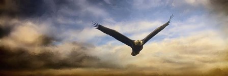 Sunset Flight by Jai Johnson art print