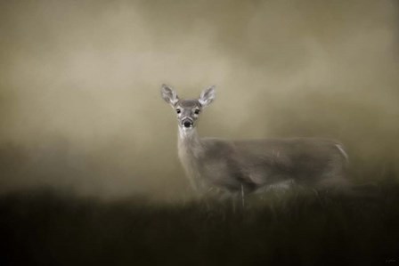 Young and Alert by Jai Johnson art print