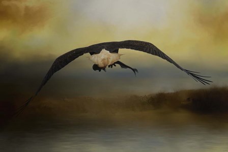 Big Catch 2 by Jai Johnson art print