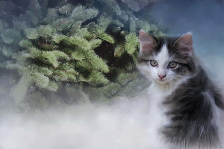 Lets Decorate by Jai Johnson art print