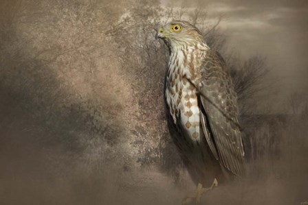 Patiently Waiting by Jai Johnson art print