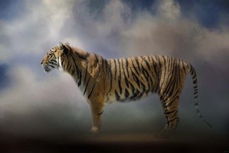 Waiting In The Light by Jai Johnson art print