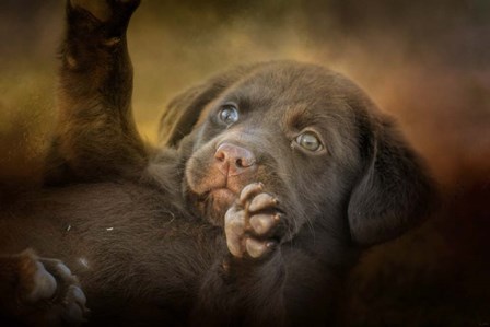 Welcoming The Sun by Jai Johnson art print