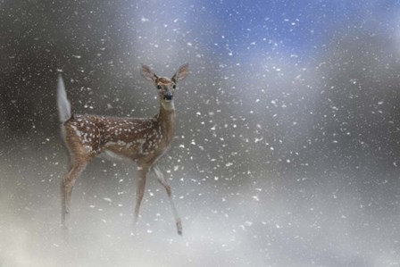 Step Out In Faith by Jai Johnson art print