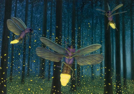 Night Light Flight by James W. Johnson art print