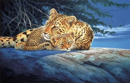 Sunlight Filtering by John Naito art print