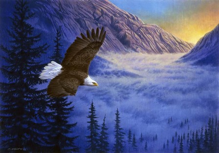 Soaring High by John Naito art print
