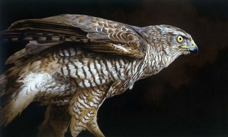Watchful by John Naito art print