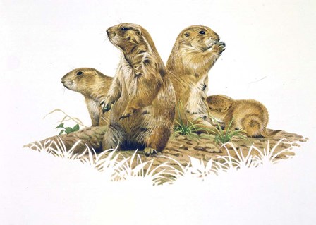 Group Outing by John Naito art print