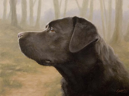 Profile by John Silver art print