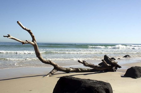 Australia 2 by Karen J. Williams art print