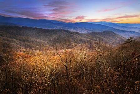 Blue Ridges by Celebrate Life Gallery art print