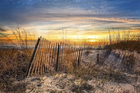 Dune Glow by Celebrate Life Gallery art print