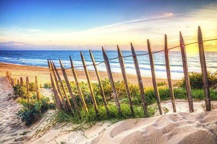 Glow At Sunset by Celebrate Life Gallery art print