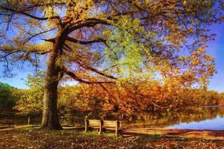 I Will Wait for You in Fall by Celebrate Life Gallery art print