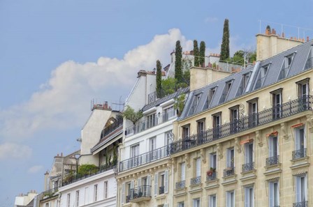 Paris&#39; Roof Gardens by Cora Niele art print